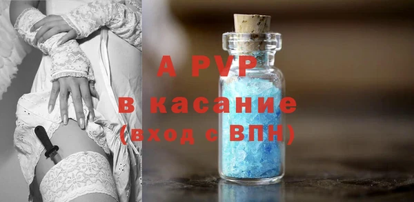 apvp Алзамай