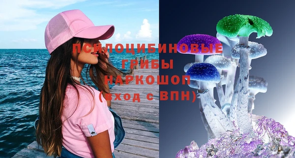 стаф Алексеевка