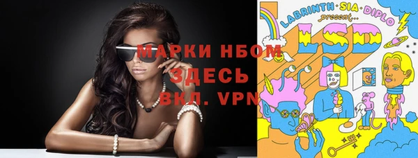 apvp Алзамай